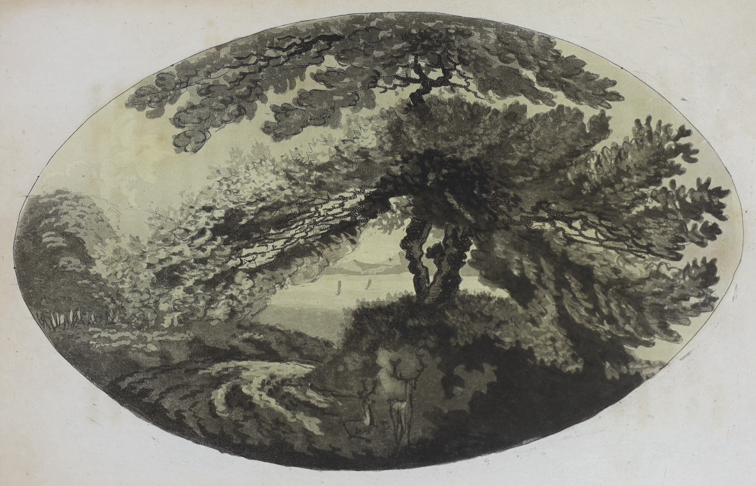 ISLE OF WIGHT: (Hookham, T.) Tour of the Isle of Wight. The drawings taken and engraved by J. Hassell ... 2 vols. (bound as one). pictorial engraved and printed titles and 30 tinted aquatint plates, subscribers list; lat
